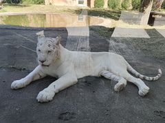 -齐齐哈尔龙沙动植物园