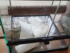 -春晖园度假酒店温泉