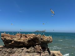 -摩天岭风景区