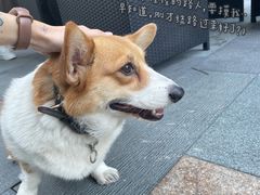 -HALO广场(梨园路店)