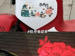 -洛阳市牡丹公园