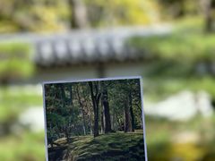 -西芳寺(苔寺)