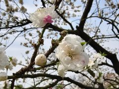 -玄武湖景区-情侣园游乐场