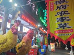 -巢湖名吃·徽府农家菜(半汤店)