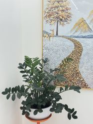 -时光畔·酷雪·痘肌