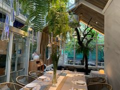 -春树下·树屋花房西餐厅(罍街AS1980店)