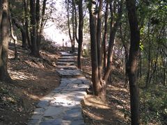 -灵岩山风景区