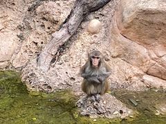 -广州长隆野生动物世界