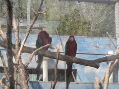 -济南野生动物世界