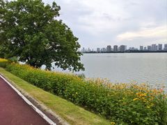 -艾溪湖湿地公园