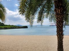 -鼓浪屿内厝澳码头(轮渡站)