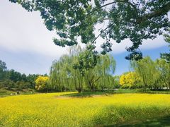 -北坞公园