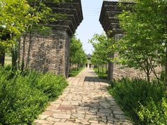 -广富林郊野公园