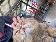 -财神鸡煲(华强北店)