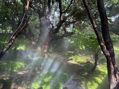 -Chom Cafe and Restaurant