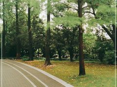 -苏州河梦清园环保主题公园