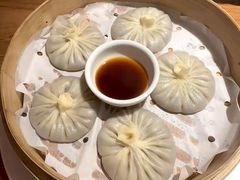 -庆春朴门