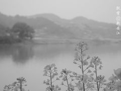 -新安江山水画廊风景区