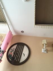 -再清椿美容