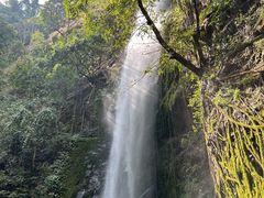 -莫里热带雨林景区