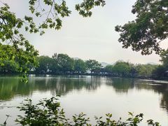 -西湖游船