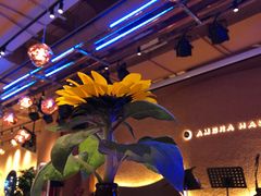 -Ambra Haus琥珀屋精酿餐厅(宝山店)