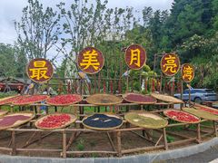 -婺源月亮湾