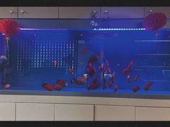 -宫七SPA·高端Massage(浦东大道店)