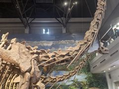 -自贡恐龙博物馆