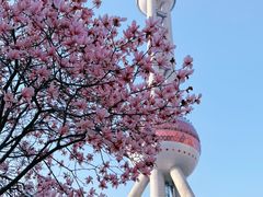 -东方明珠广播电视塔