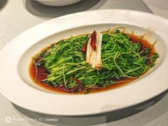 -珊海荟海鲜楼·天津菜·海肠捞饭·皮皮虾锅贴王(佛罗伦萨店)