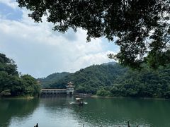 -鼎湖山风景区