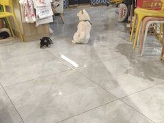 -柴犬小屋·柴餐厅·狗咖食堂(金鼎广场店)