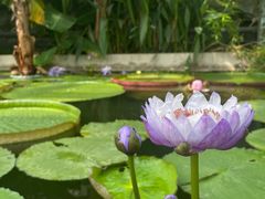 -国家植物园南园