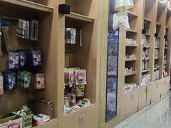-瑞派名望志远动物医院·猫科·內科·异宠专科(直港大道店)