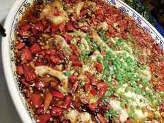 来凤鱼-新概念来凤鱼(璧山店)