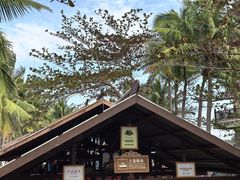 -海南分界洲岛旅游区