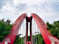 -玉树公园