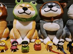 -柴务处·柴犬主题狗咖