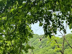-吉林市朱雀山国家森林公园