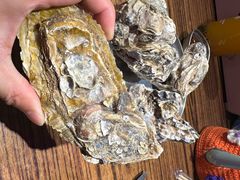 -蚝堡海鲜·威海菜·海肠捞饭·烧烤·亚洲吃蚝公司(幸福门店)