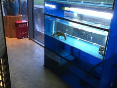 水产区-山葵家·创意料理(宁波来福士店)
