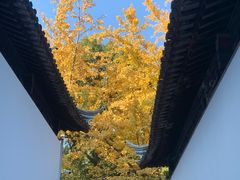 -西园戒幢律寺