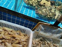 -庆赫隆融合菜馆(群力店)