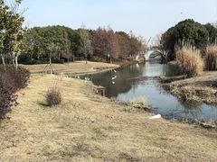-尚贤河湿地