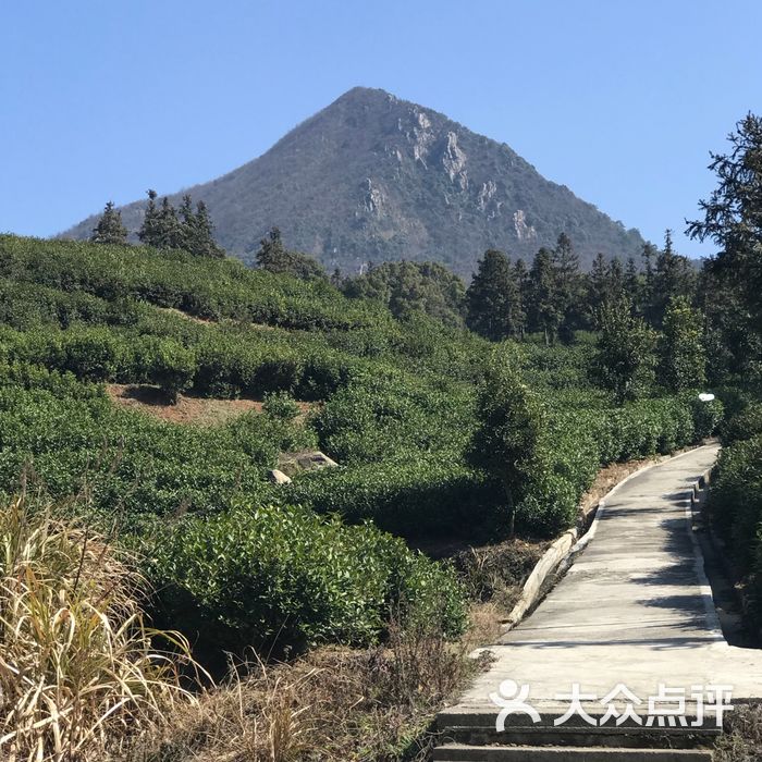 骆驼泉山庄