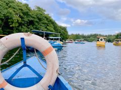 -上海共青森林公园