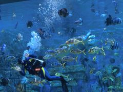 -横店影视城梦幻谷园区