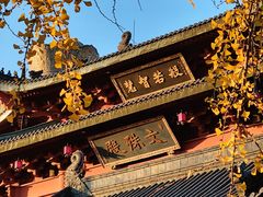 -上海东林寺(金山区)