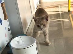 -乐琪宠物医院·犬猫专科·骨外科·急重症